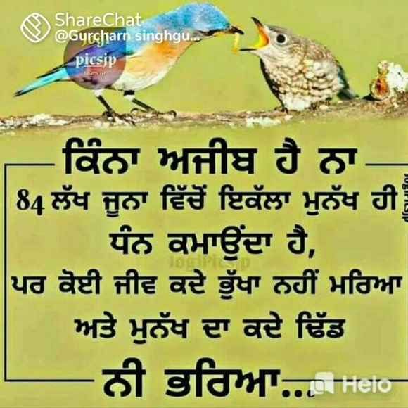 kuljitgrewal94